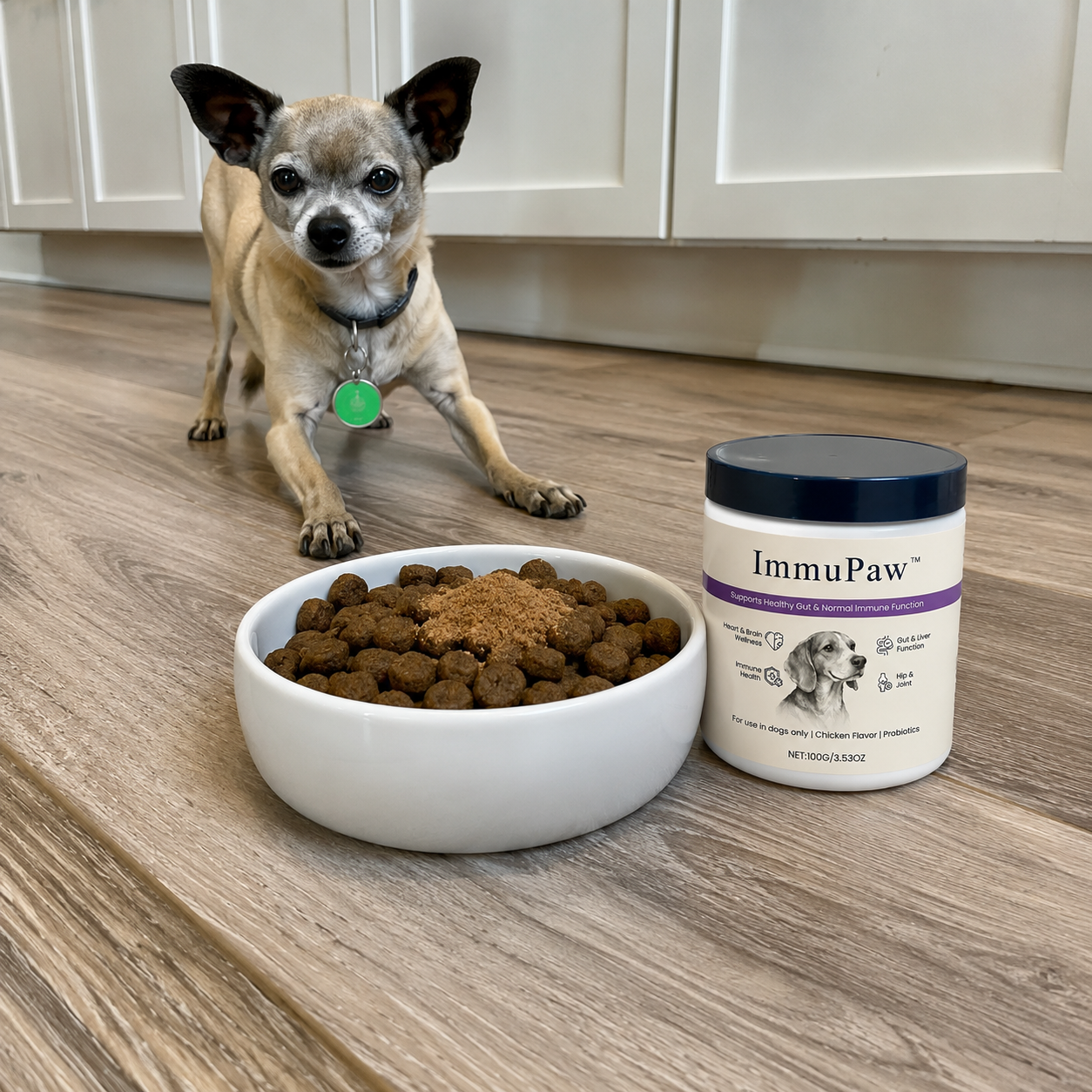 ImmuPaw™ 100 g dog supplement powder
