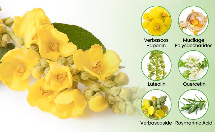 CareBreeze® drug-free mullein diffuser with concentrated plant extract